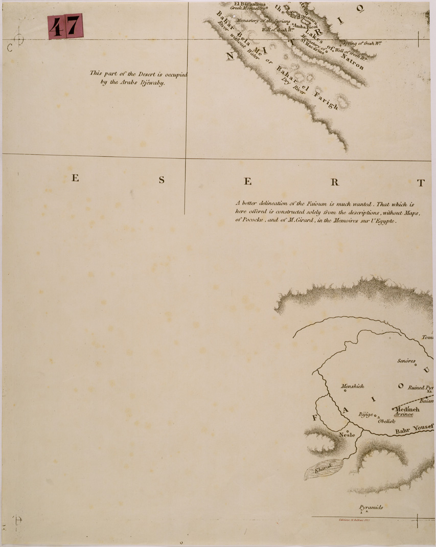 (N:29967) DELTA DEL NILO - TAV 4 (SE003837) Carte e stampe antiche: riproduzione a colori su carta (formato A1)