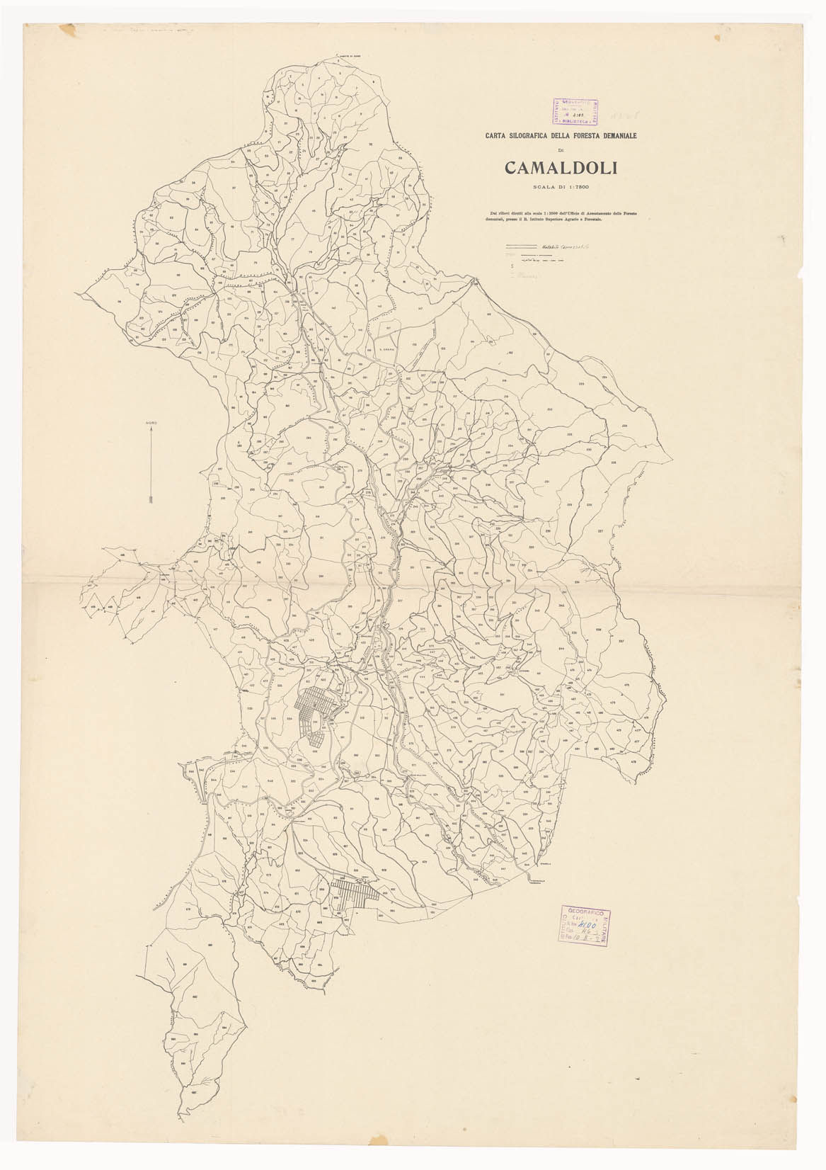 (N:5844) CARTA SILOGRAFICA DELLA FORESTA DEMANIALE DI CAMALDOLI (B0000775) Carte e stampe antiche: riproduzione a colori su carta (formato A1)
