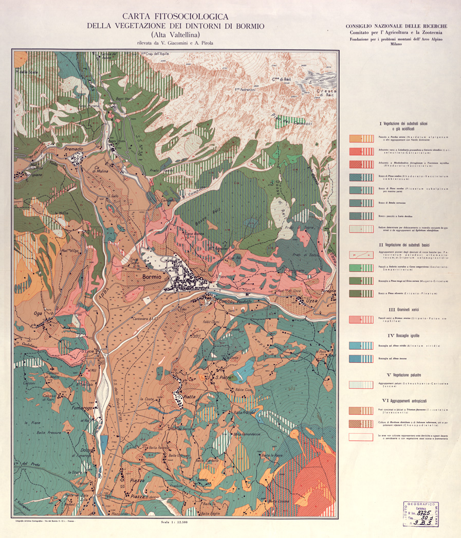 (N:4542) CARTA FITOSOCIOLOGICA DELLA VEGETAZIONE DEI DINTORNI DI BORMIO (ALTA VALTELLINA) (B0003290) Carte e stampe antiche: riproduzione a colori su carta (formato A1)