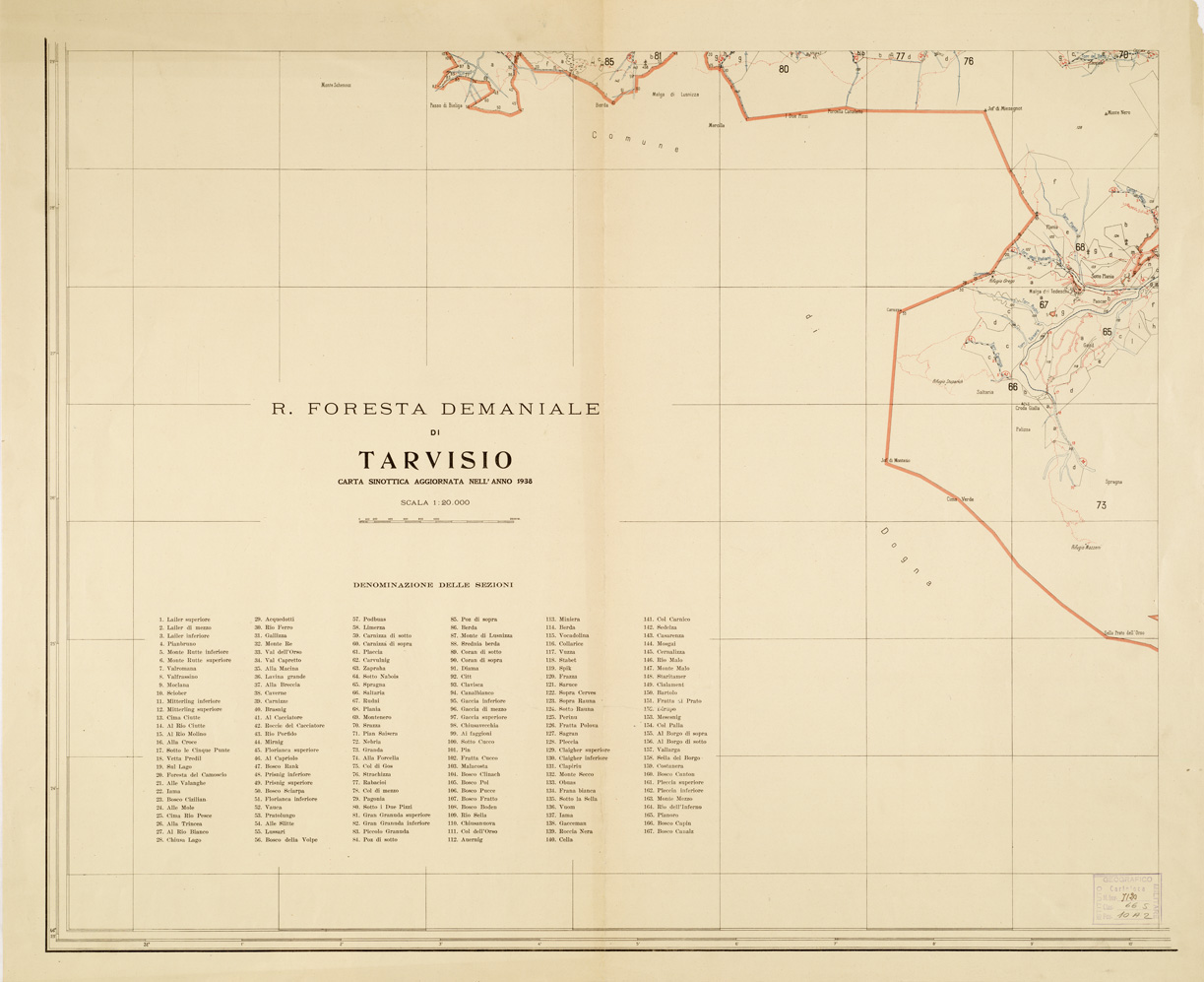 (N:14592) R. FORESTA DEMANIALE DI TARVISIO - Tavola 1 (B0005986) Carte e stampe antiche: riproduzione a colori su carta (formato A1)