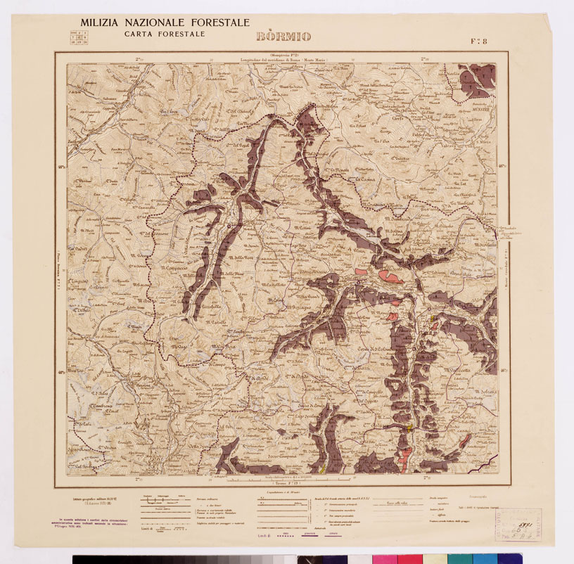 (N:4796) CARTA FORESTALE DEL REGNO D'ITALIA... - Foglio 8 BORMIO (B0008774) Carte e stampe antiche: riproduzione a colori su carta (formato A1)