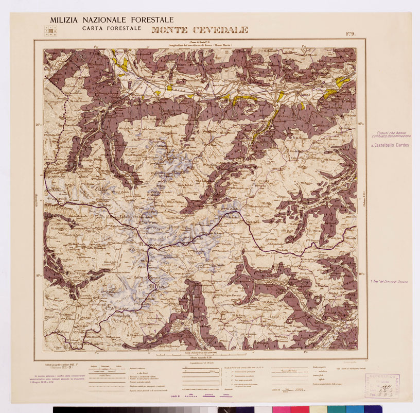 (N:4809) CARTA FORESTALE DEL REGNO D'ITALIA... - Foglio 9 MONTE CAVEDALE (B0008775) Carte e stampe antiche: riproduzione a colori su carta (formato A1)