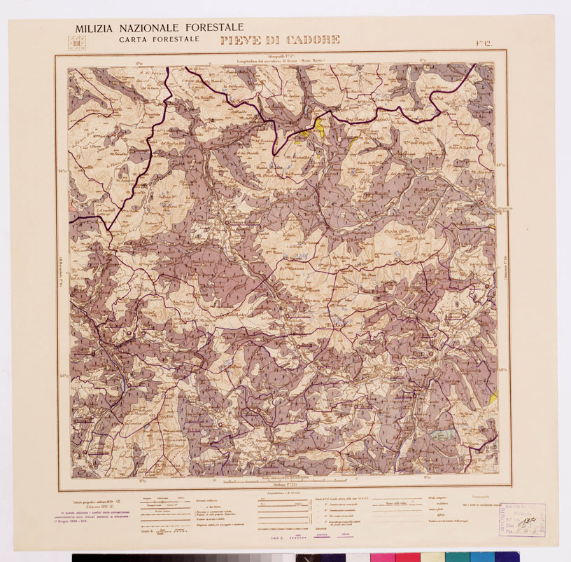 (N:4566) CARTA FORESTALE DEL REGNO D'ITALIA... - Foglio 12 PIEVE DI CADORE (B0008778) Carte e stampe antiche: riproduzione a colori su carta (formato A1)