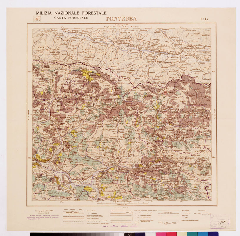 (N:4589) CARTA FORESTALE DEL REGNO D'ITALIA... - Foglio 14 PONTEBBA (B0008780) Carte e stampe antiche: riproduzione a colori su carta (formato A1)