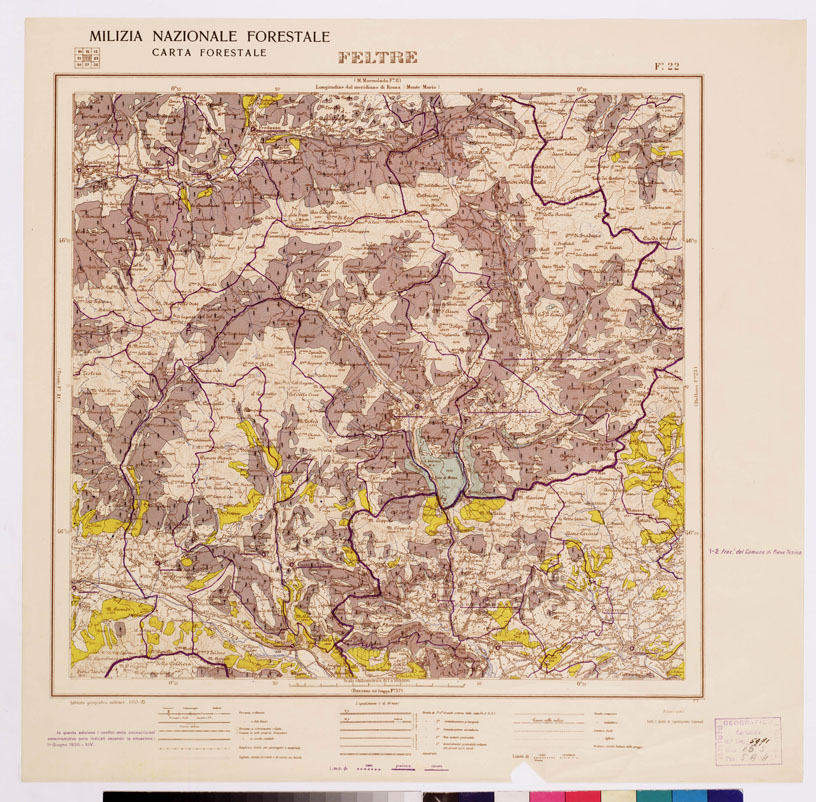 (N:4672) CARTA FORESTALE DEL REGNO D'ITALIA... - Foglio 22 FELTRE (B0008789) Carte e stampe antiche: riproduzione a colori su carta (formato A1)