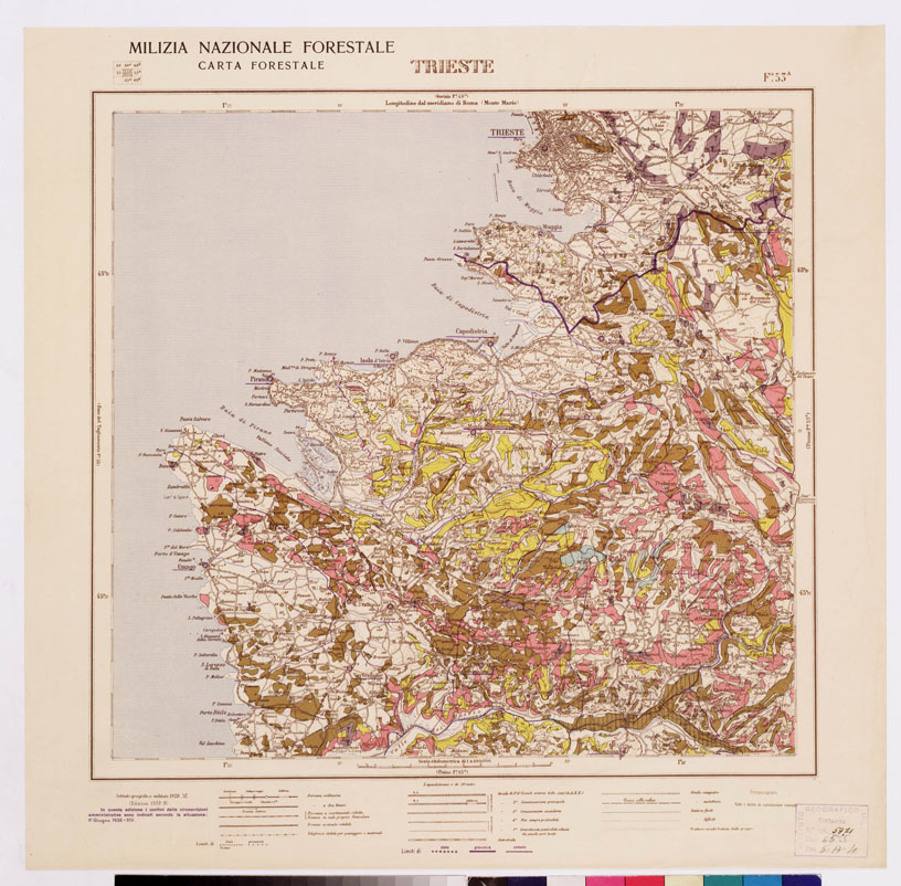 (N:4762) CARTA FORESTALE DEL REGNO D'ITALIA... - Foglio 53 a TRIESTE (B0008824) Carte e stampe antiche: riproduzione a colori su carta (formato A1)