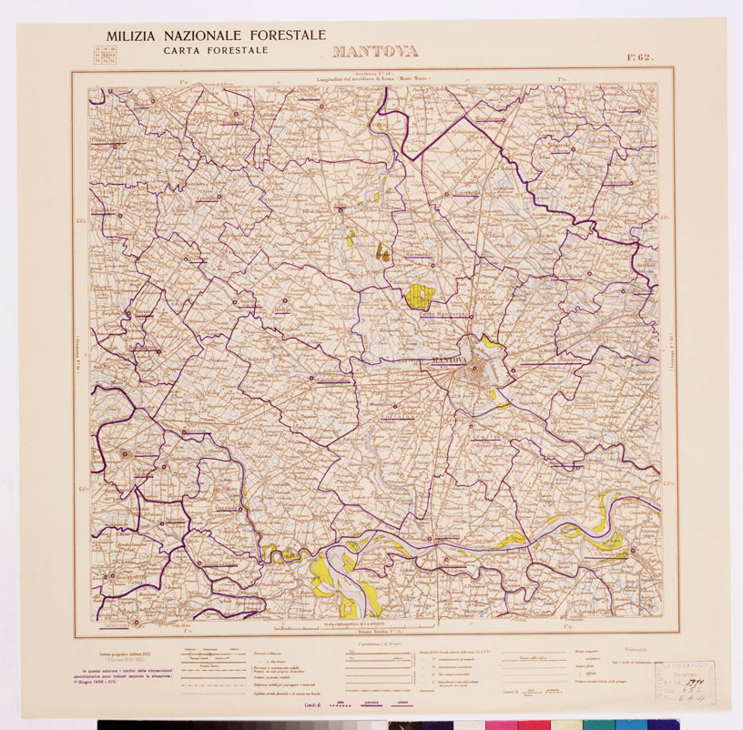 (N:4774) CARTA FORESTALE DEL REGNO D'ITALIA... - Foglio 62 MANTOVA (B0008834) Carte e stampe antiche: riproduzione a colori su carta (formato A1)