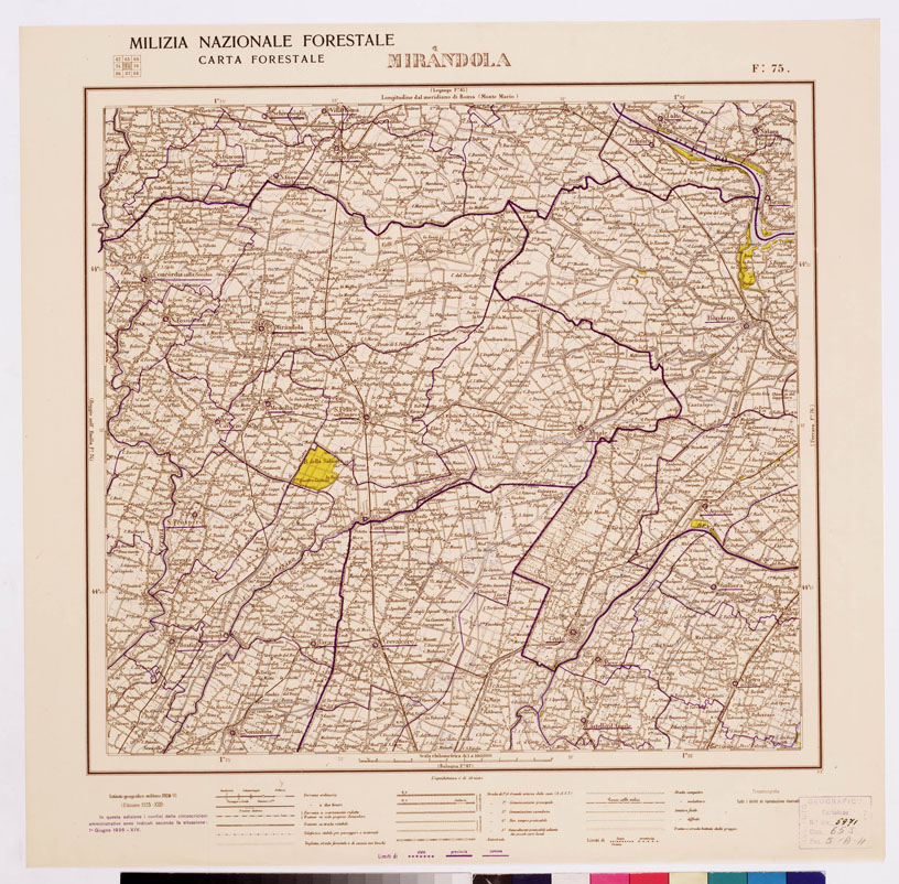 (N:4789) CARTA FORESTALE DEL REGNO D'ITALIA... - Foglio 75 MIRANDOLA (B0008849) Carte e stampe antiche: riproduzione a colori su carta (formato A1)