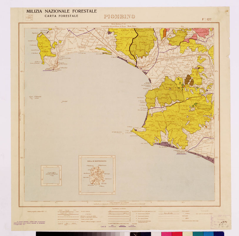 (N:4574) CARTA FORESTALE DEL REGNO D'ITALIA... - Foglio 127 PIOMBINO (B0008902) Carte e stampe antiche: riproduzione a colori su carta (formato A1)
