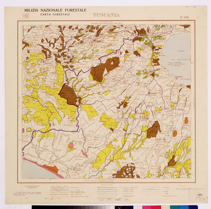 (N:4584) CARTA FORESTALE DEL REGNO D'ITALIA... - Foglio 136 TUSCANIA (B0008911) Carte e stampe antiche: riproduzione a colori su carta (formato A1)
