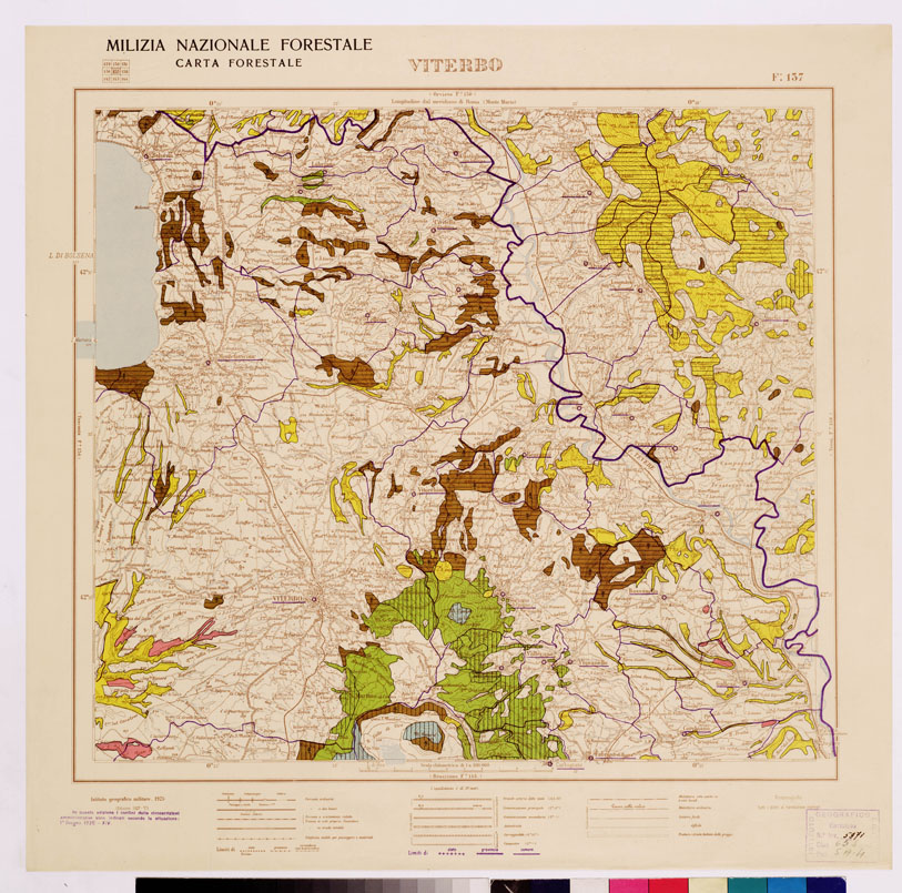 (N:4585) CARTA FORESTALE DEL REGNO D'ITALIA... - Foglio 137 VITERBO (B0008912) Carte e stampe antiche: riproduzione a colori su carta (formato A1)