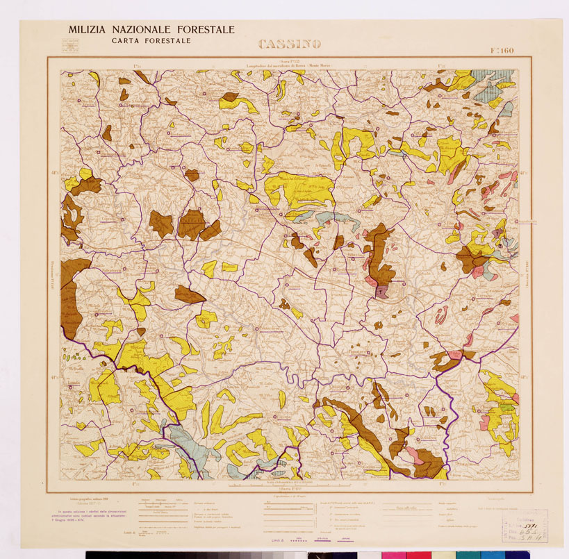 (N:4612) CARTA FORESTALE DEL REGNO D'ITALIA... - Foglio 160 CASSINO (B0008935) Carte e stampe antiche: riproduzione a colori su carta (formato A1)