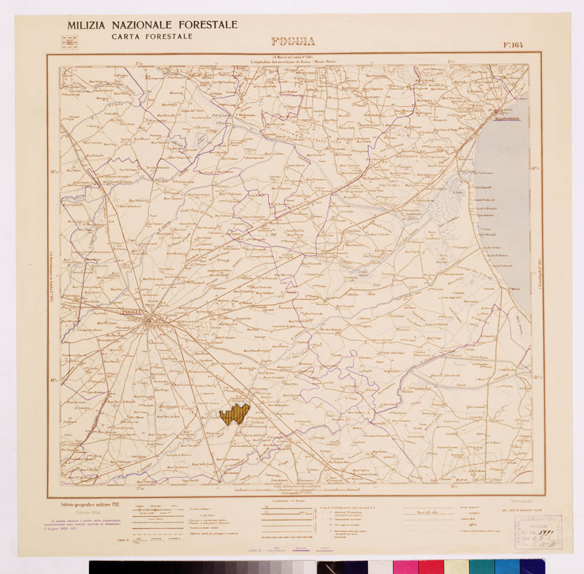 (N:4616) CARTA FORESTALE DEL REGNO D'ITALIA... - Foglio 164 FOGGIA (B0008939) Carte e stampe antiche: riproduzione a colori su carta (formato A1)