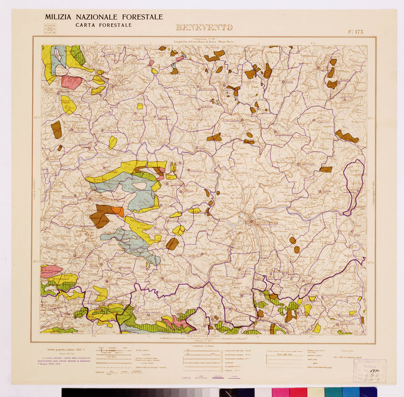 (N:4623) CARTA FORESTALE DEL REGNO D'ITALIA... - Foglio 173 BENEVENTO (B0008945) Carte e stampe antiche: riproduzione a colori su carta (formato A1)