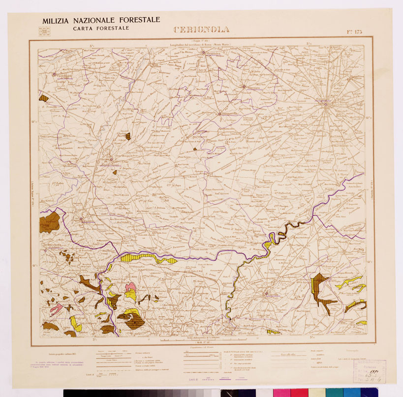 (N:4625) CARTA FORESTALE DEL REGNO D'ITALIA... - Foglio 175 CERIGNOLA (B0008947) Carte e stampe antiche: riproduzione a colori su carta (formato A1)