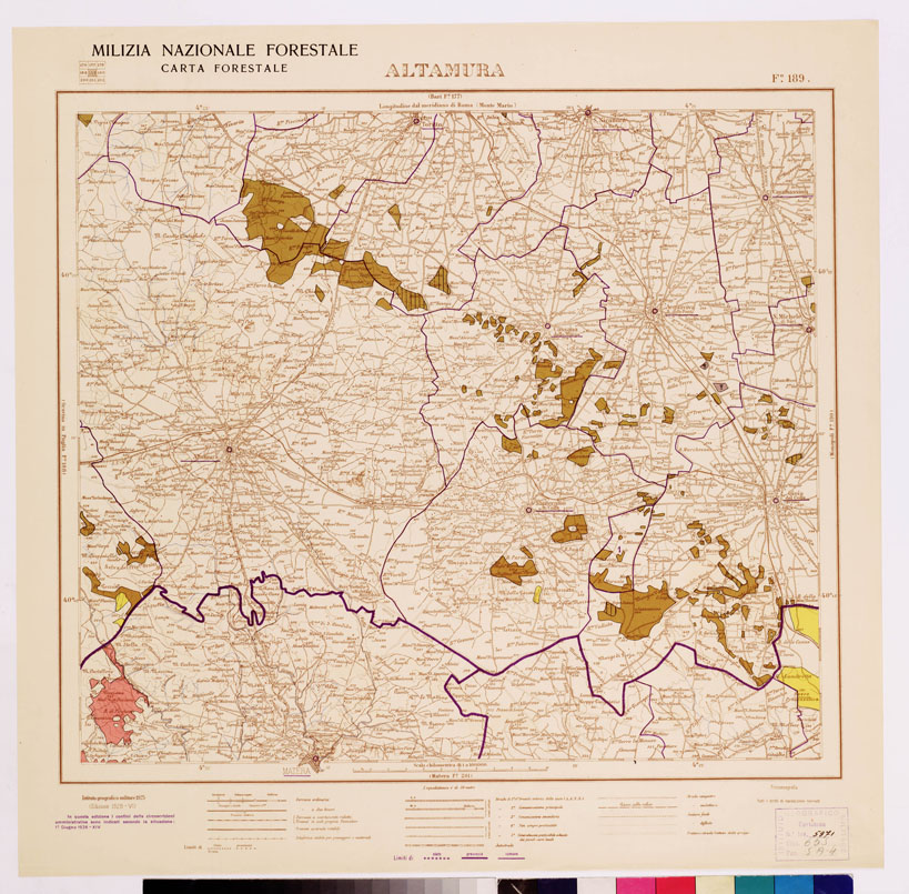 (N:4639) CARTA FORESTALE DEL REGNO D'ITALIA... - Foglio 189 ALTAMURA (B0008960) Carte e stampe antiche: riproduzione a colori su carta (formato A1)