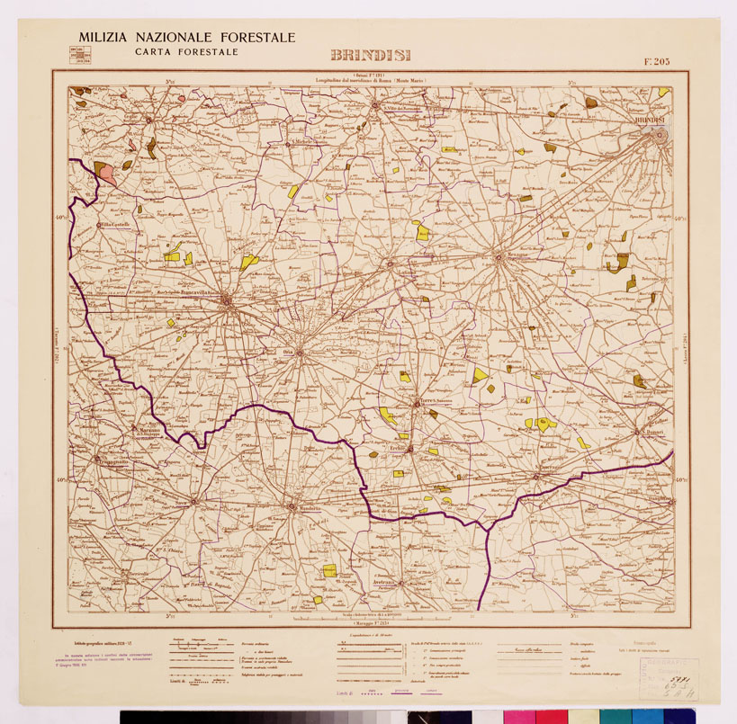 (N:4656) CARTA FORESTALE DEL REGNO D'ITALIA... - Foglio 203 BRINDISI (B0008974) Carte e stampe antiche: riproduzione a colori su carta (formato A1)