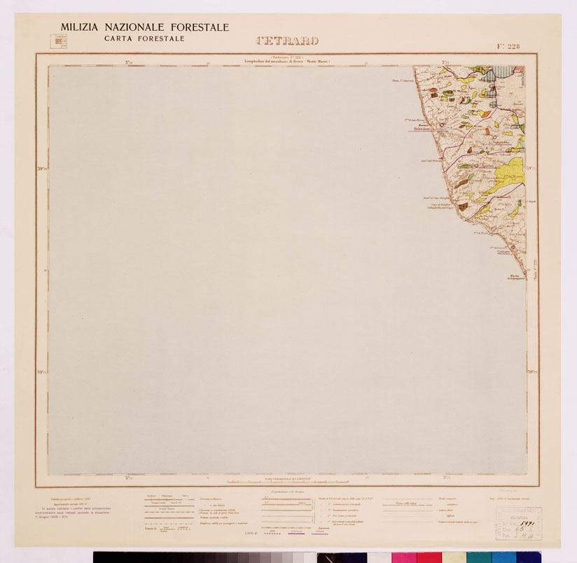 (N:4681) CARTA FORESTALE DEL REGNO D'ITALIA... - Foglio 228 CETRARO (B0008997) Carte e stampe antiche: riproduzione a colori su carta (formato A1)