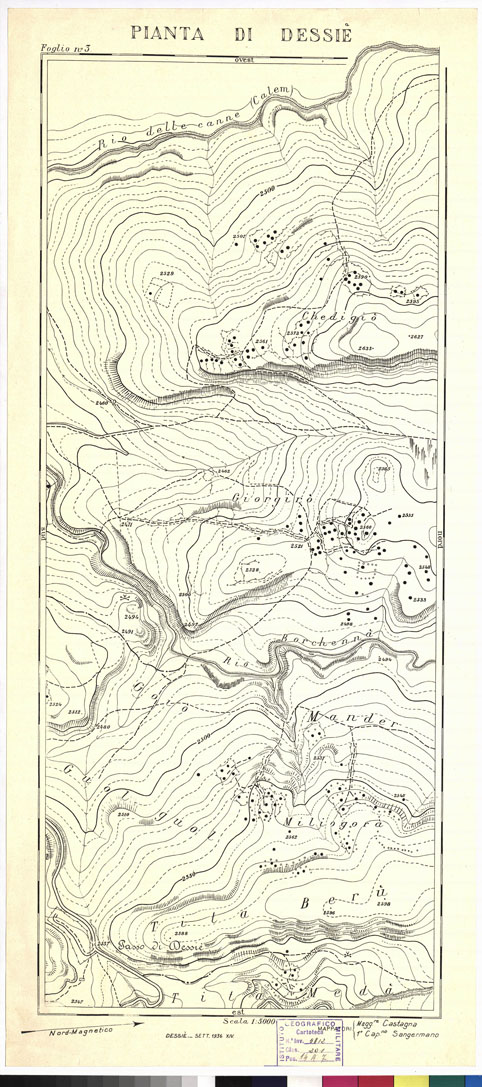(N:13882) PIANTA DI DESSIE' - Foglio 3 (B0009291) Carte e stampe antiche: riproduzione a colori su carta (formato A1)