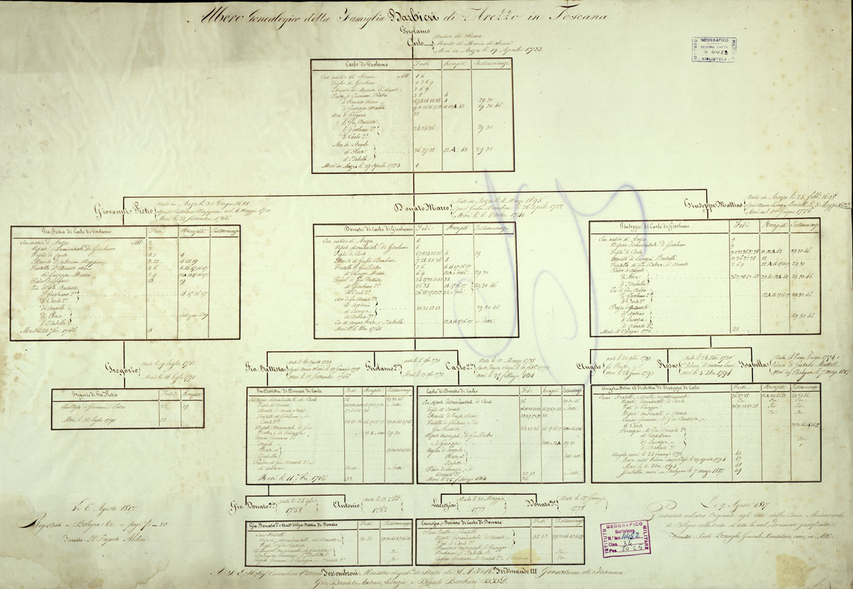(N:67) RISTRETTO TRANSUNTO DEL SOMMARIO DI TUTTI GLI ALLEGATI CHE GIUSTIFICANO L'ALBERO GENEALOGICO DELLA FAMIGLIA BARBIERI DI AREZZO IN TOSCANA (B0000079, B0014079) Carte e stampe antiche: riproduzione a colori su carta (formato A1)