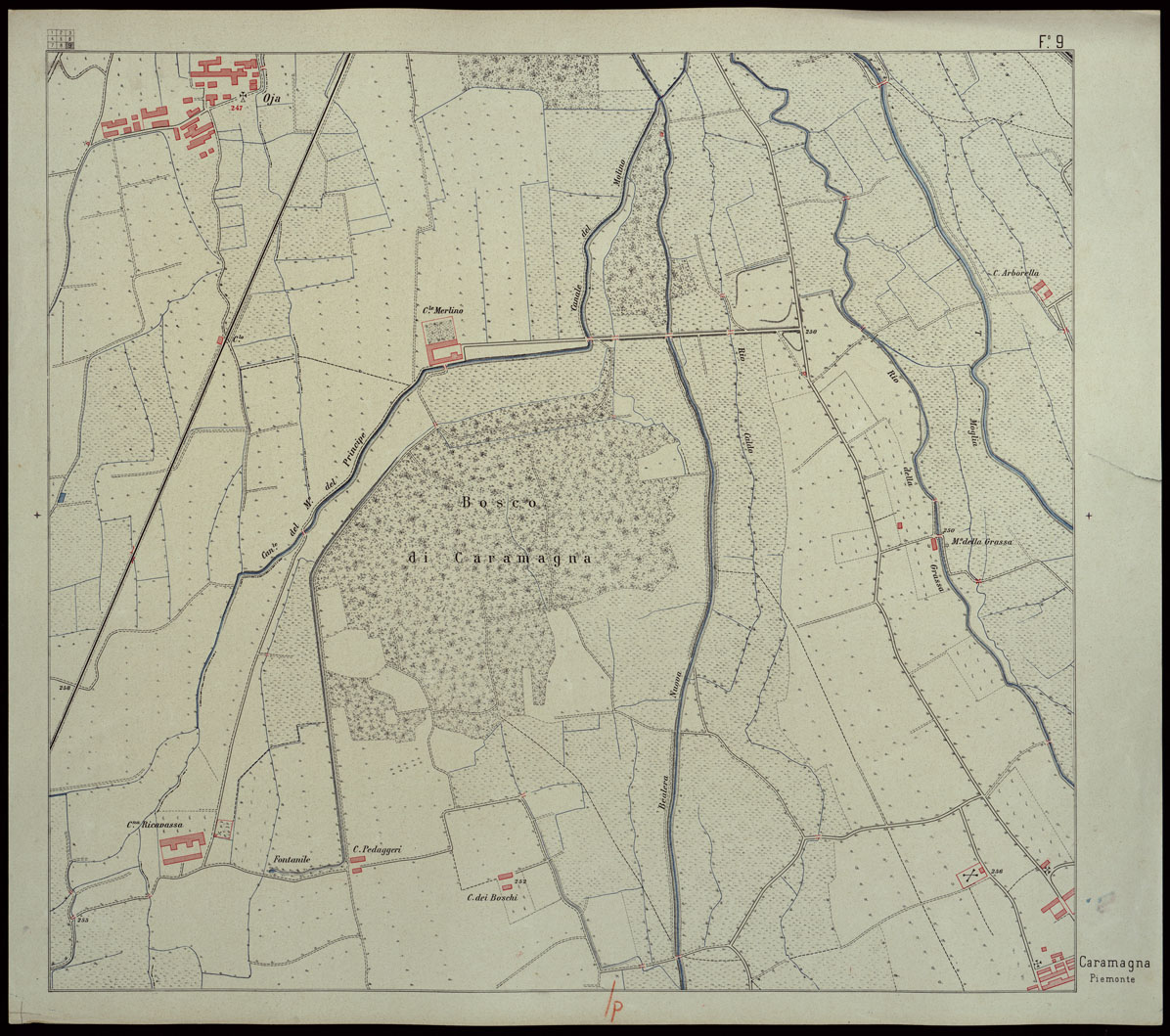 (N:23903) CARTA DEI DINTORNI DI RACCONIGI - FOGLIO 9 (CA003204) Carte e stampe antiche: riproduzione a colori su carta (formato A1)