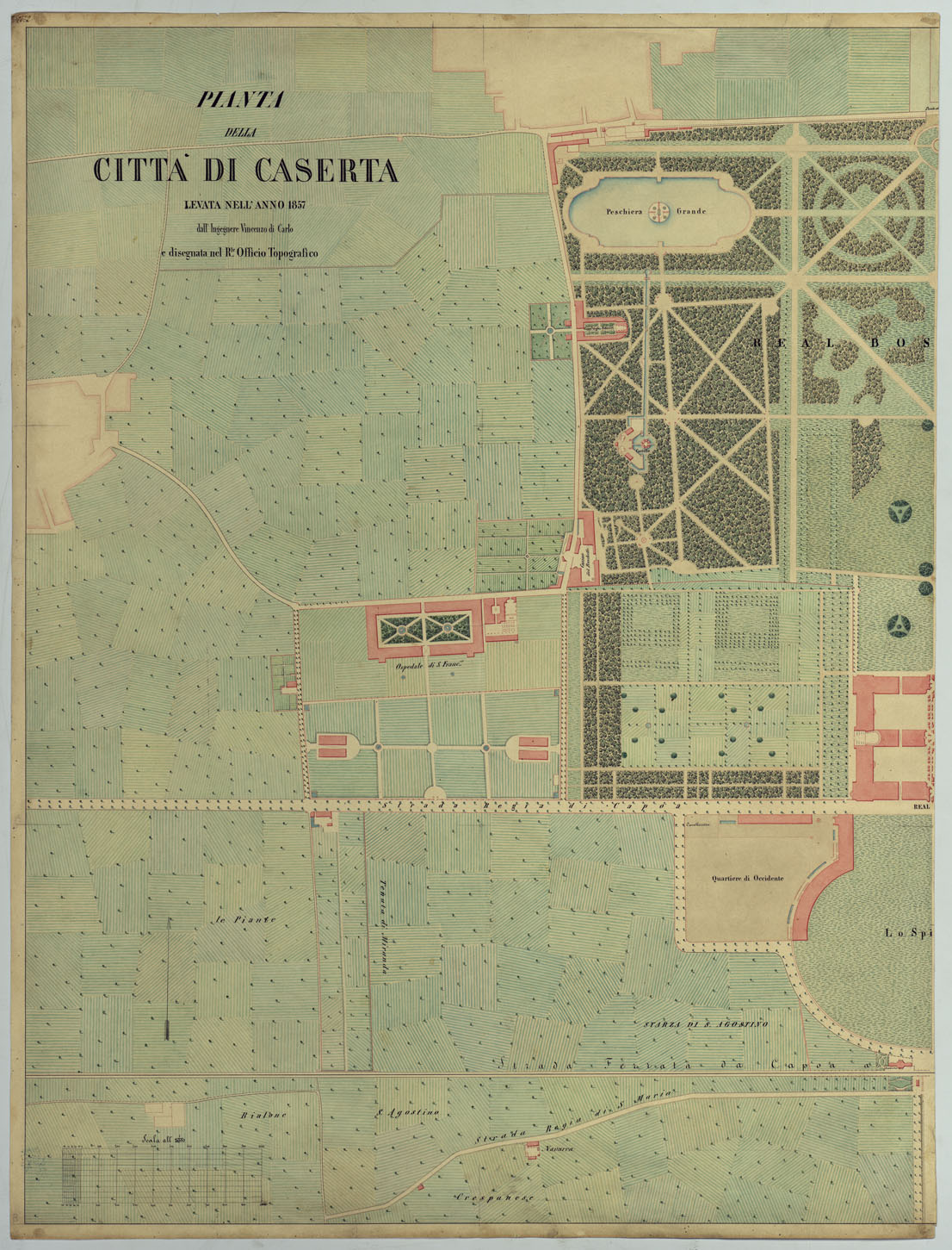 (N:8668) PIANTA DELLA CITTA' DI CASERTA LEVATA NELL'ANNO 1857 DALL'INGEGNERE VINCENZO DI CARLO E DISEGNATA NEL R.LE. OFFICIO TOPOGRAFICO - FOGLIO 1 (CA006224) Carte e stampe antiche: riproduzione a colori su carta (formato A1)