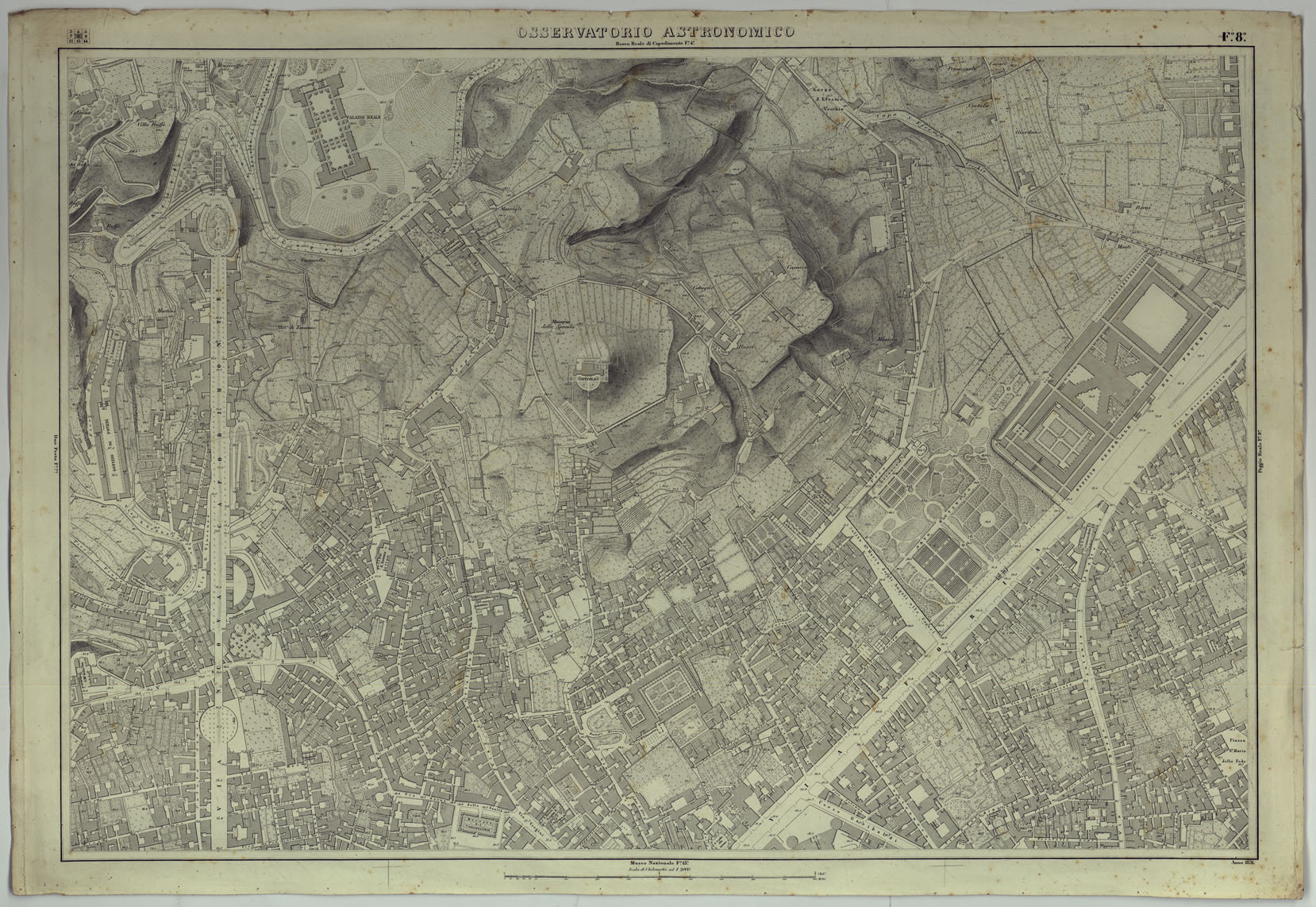 (N:25129) PIANTA DELLA CITTA' DI NAPOLI - FOGLIO 8 OSSERVATORIO ASTRONOMICO. (CA007447) Carte e stampe antiche: riproduzione a colori su carta (formato A1)