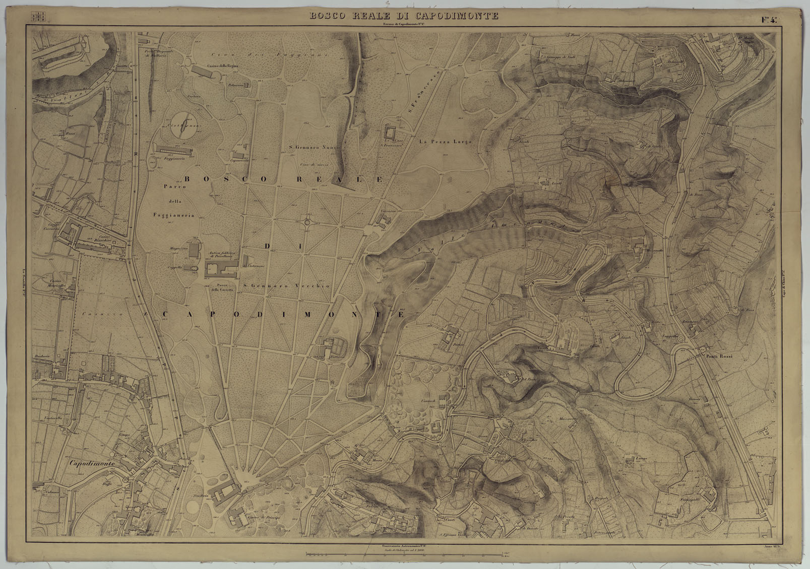 (N:8781) PIANTA DELLA CITTA' DI NAPOLI EDIZIONE A FOGLI MONTATI SU TELA E CON CURVE BATOMETRICHE - FOGLIO 4 BOSCO REALE DI CAPODIMONTE. (CA007466) Carte e stampe antiche: riproduzione a colori su carta (formato A1)