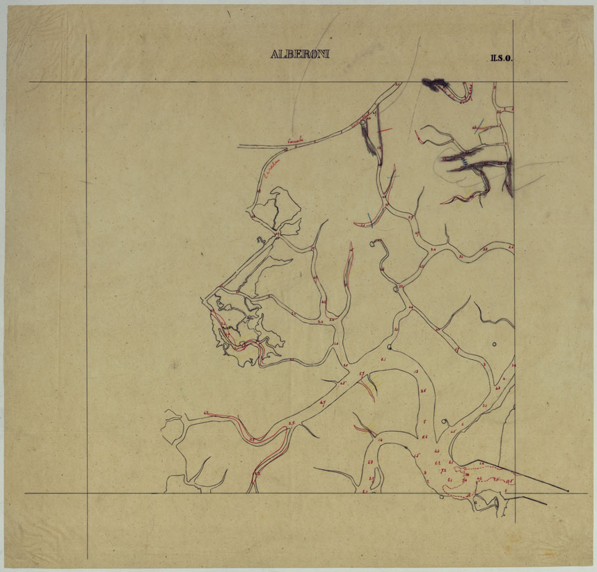 (N:25365) LUCIDO DEL FOGLIO 51 II S.O. - ALBERONI. (CA008212) Carte e stampe antiche: riproduzione a colori su carta (formato A1)