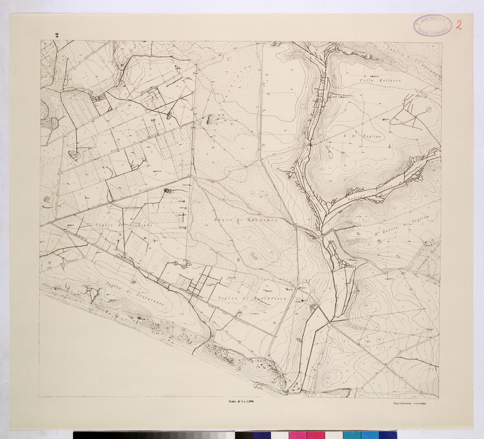 (N:26092) POLIGONO DI NETTUNO - FOGLIO 2. (CA009300) Carte e stampe antiche: riproduzione a colori su carta (formato A1)