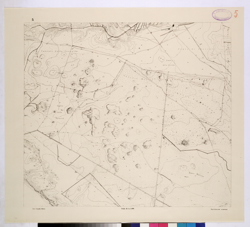 (N:26095) POLIGONO DI NETTUNO - FOGLIO 5. (CA009303) Carte e stampe antiche: riproduzione a colori su carta (formato A1)