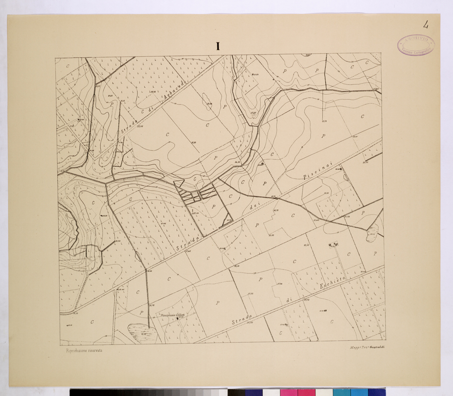 (N:26103) POLIGONO DI NETTUNO - FOGLIO I. (CA009311) Carte e stampe antiche: riproduzione a colori su carta (formato A1)