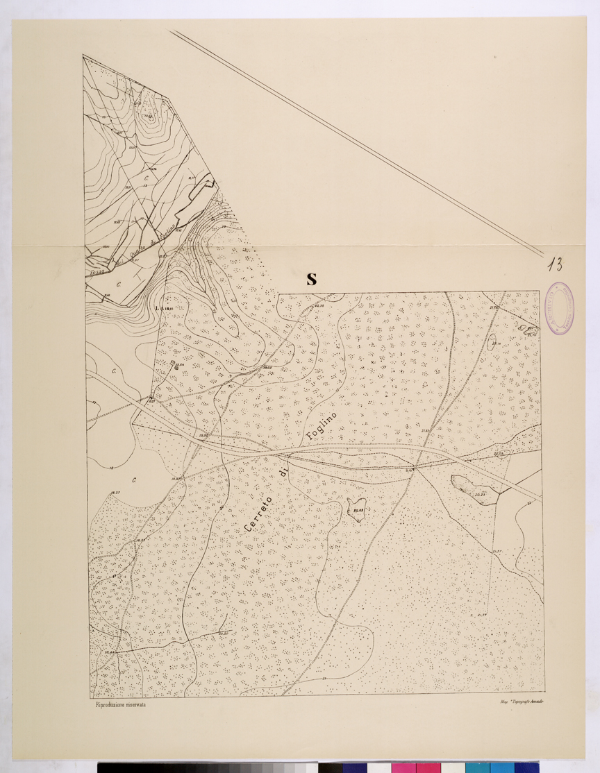 (N:26112) POLIGONO DI NETTUNO - FOGLIO S. (CA009320) Carte e stampe antiche: riproduzione a colori su carta (formato A1)