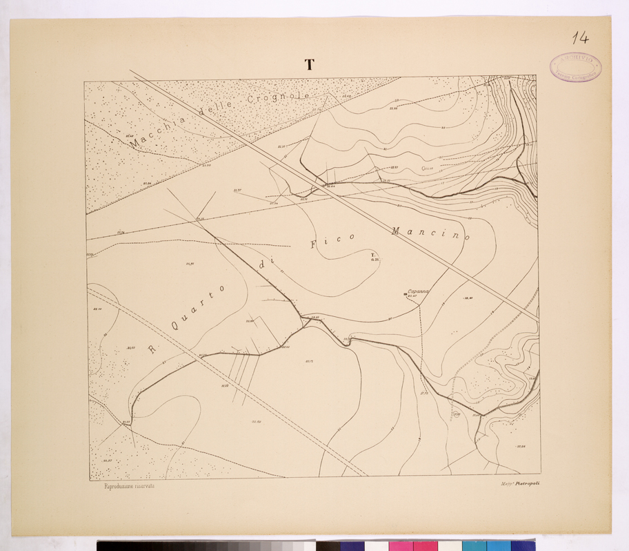 (N:26113) POLIGONO DI NETTUNO - FOGLIO T. (CA009321) Carte e stampe antiche: riproduzione a colori su carta (formato A1)
