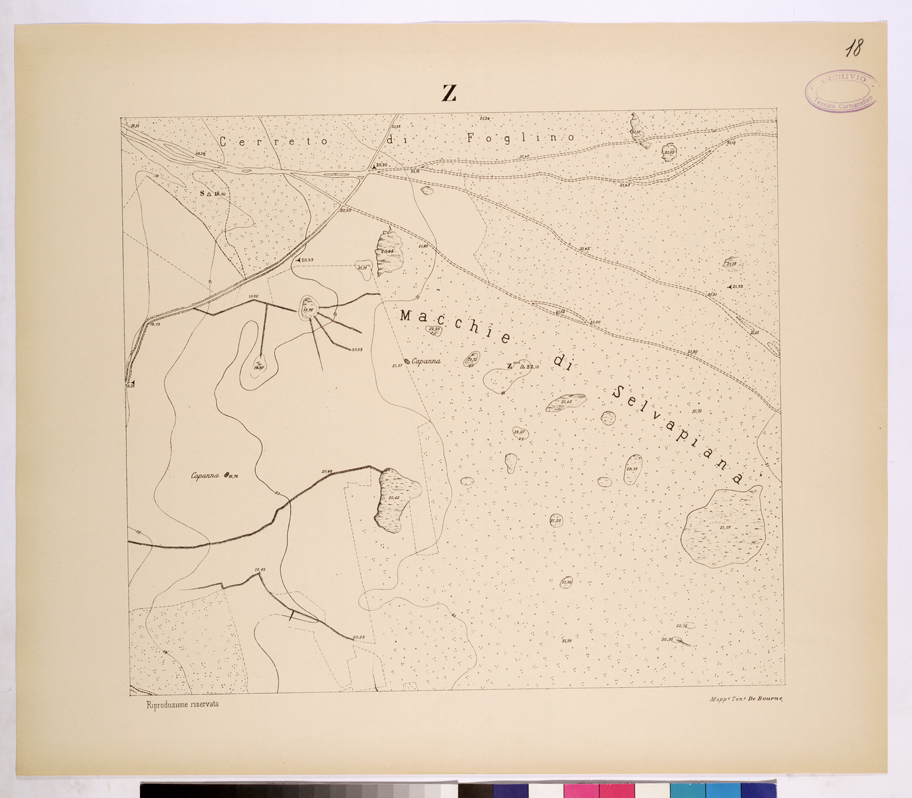 (N:26117) POLIGONO DI NETTUNO - FOGLIO Z. (CA009325) Carte e stampe antiche: riproduzione a colori su carta (formato A1)