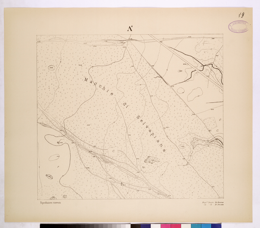 (N:26118) POLIGONO DI NETTUNO - FOGLIO A1. (CA009326) Carte e stampe antiche: riproduzione a colori su carta (formato A1)