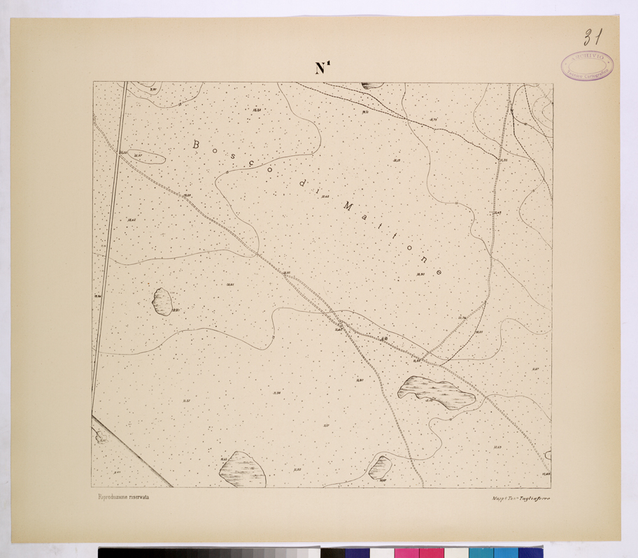 (N:26129) POLIGONO DI NETTUNO - FOGLIO N1. (CA009338) Carte e stampe antiche: riproduzione a colori su carta (formato A1)