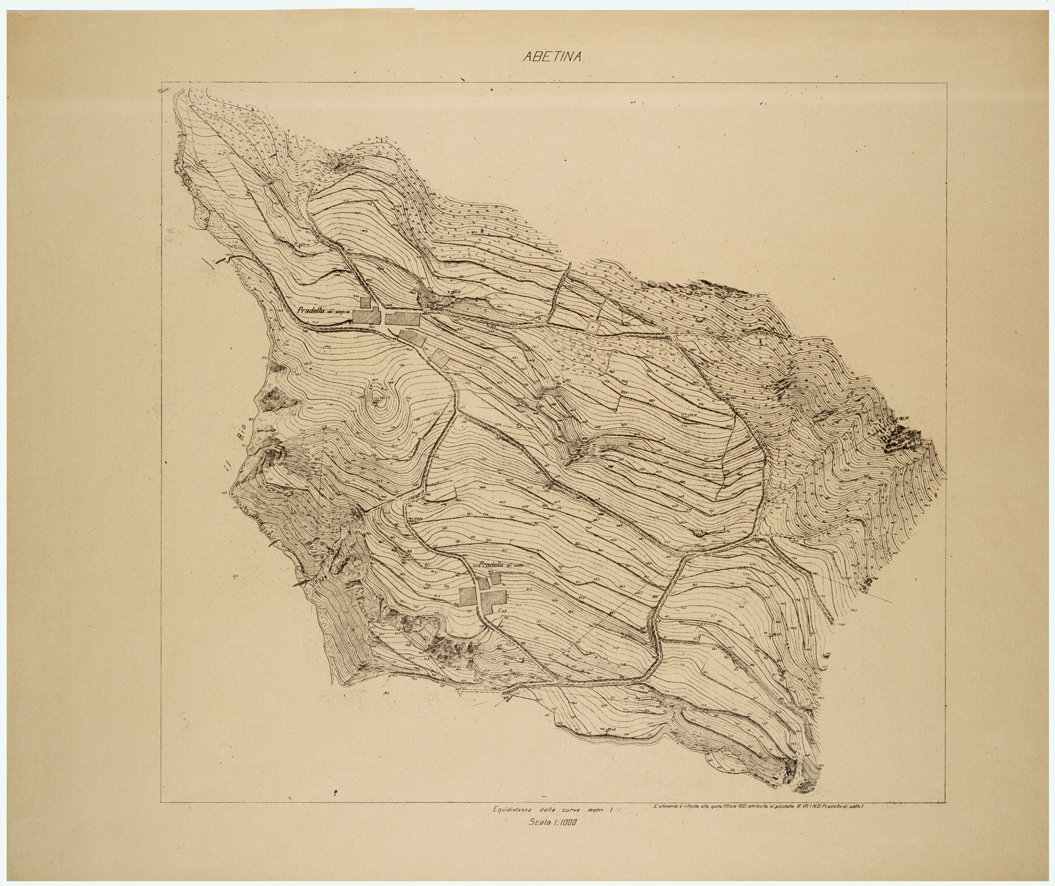(N:26266) ABETINA. (CA009482) Carte e stampe antiche: riproduzione a colori su carta (formato A1)