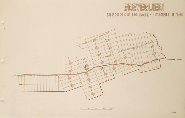 (N:31694) ENTE PER LA COLONIZZAZIONE DELLA LIBIA - TAVOLA IX - BREVEGLIERI. (SE005846) Carte e stampe antiche: riproduzione a colori su carta (formato A2)