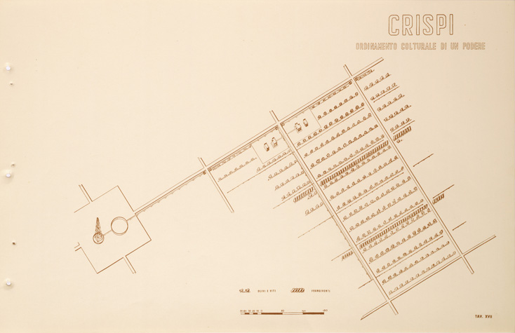 (N:31702) ENTE PER LA COLONIZZAZIONE DELLA LIBIA - TAVOLA XVII - CRISPI. (SE005854) Carte e stampe antiche: riproduzione a colori su carta (formato A2)
