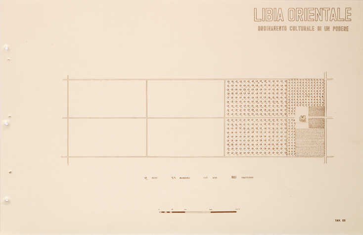(N:31705) ENTE PER LA COLONIZZAZIONE DELLA LIBIA - TAVOLA XX - LIBIA ORIENTALE. (SE005857) Carte e stampe antiche: riproduzione a colori su carta (formato A2)
