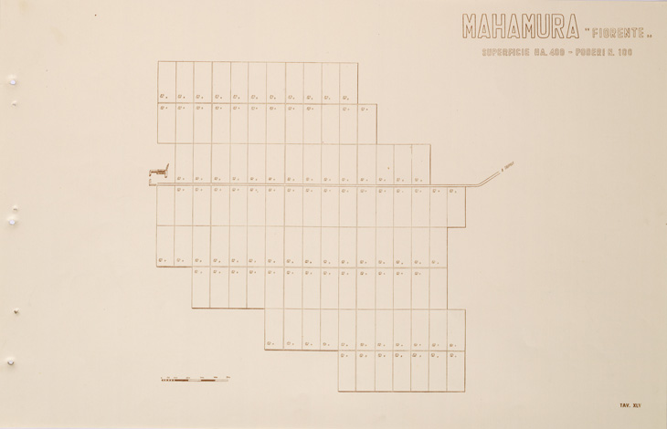 (N:31736) ENTE PER LA COLONIZZAZIONE DELLA LIBIA - TAVOLA XLV - MAHAMURA. (SE005884) Carte e stampe antiche: riproduzione a colori su carta (formato A2)