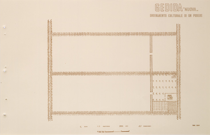 (N:31733) ENTE PER LA COLONIZZAZIONE DELLA LIBIA - TAVOLA XLVI - GEDIDA. (SE005885) Carte e stampe antiche: riproduzione a colori su carta (formato A2)