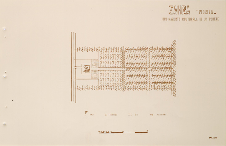 (N:31734) ENTE PER LA COLONIZZAZIONE DELLA LIBIA - TAVOLA XLVII- ZAHRA. (SE005886) Carte e stampe antiche: riproduzione a colori su carta (formato A2)