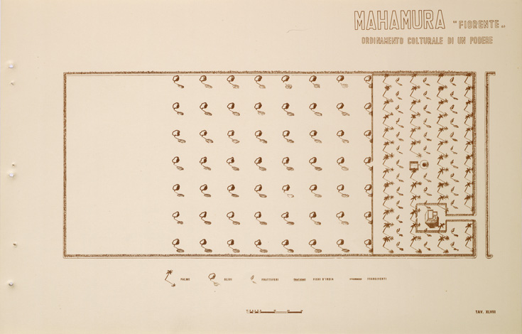 (N:31735) ENTE PER LA COLONIZZAZIONE DELLA LIBIA - TAVOLA XLVIII - MAHAMURA. (SE005887) Carte e stampe antiche: riproduzione a colori su carta (formato A2)