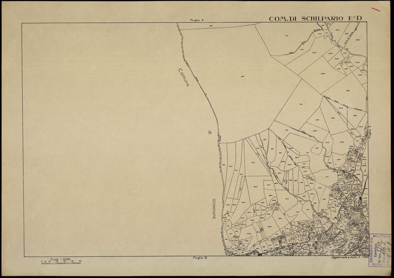 (N:12215) MAPPE CATASTALI D'ITALIA - PROVINCIA DI BERGAMO - Foglio D - COMUNE DI SCHILPARIO (B0003514) Carte e stampe antiche: riproduzione a colori su carta (formato A2)