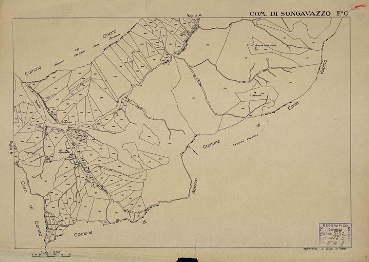 (N:12221) MAPPE CATASTALI D'ITALIA - PROVINCIA DI BERGAMO - Foglio C - COMUNE DI SONGAVAZZO (B0003520) Carte e stampe antiche: riproduzione a colori su carta (formato A2)