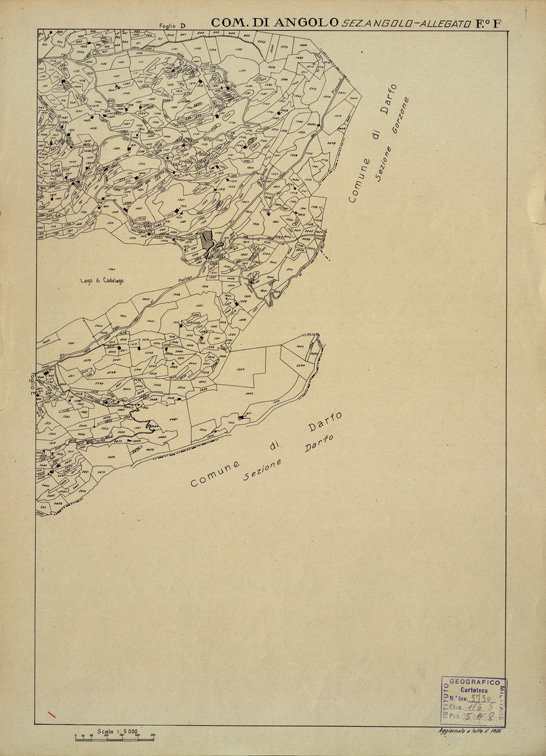 (N:12248) MAPPE CATASTALI D'ITALIA - PROVINCIA DI BRESCIA - Foglio F - COMUNE DI ANGOLO Sezione di ANGOLO (B0003544) Carte e stampe antiche: riproduzione a colori su carta (formato A2)