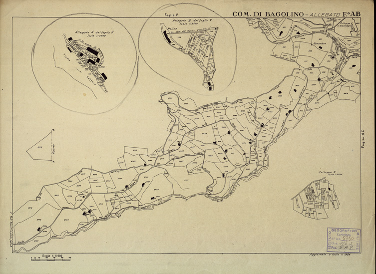(N:12257) MAPPE CATASTALI D'ITALIA - PROVINCIA DI BRESCIA - Foglio AB - COMUNE DI BAGOLINO (B0003573) Carte e stampe antiche: riproduzione a colori su carta (formato A2)