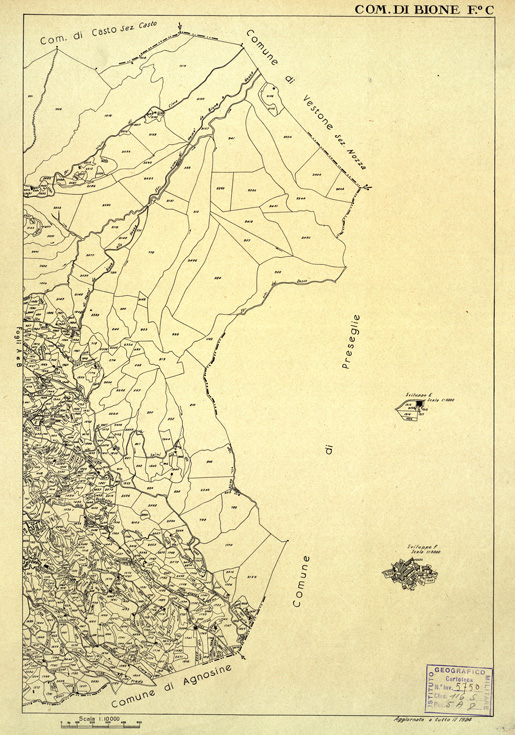 (N:12302) MAPPE CATASTALI D'ITALIA - PROVINCIA DI BRESCIA - Foglio C- COMUNE DI BIONE (B0003598) Carte e stampe antiche: riproduzione a colori su carta (formato A2)